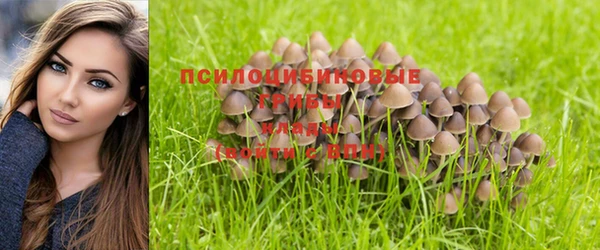 mdpv Балахна