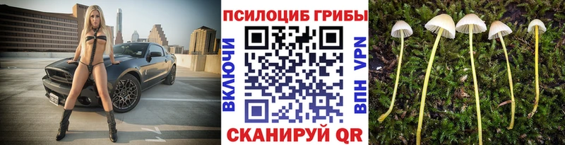 Галлюциногенные грибы прущие грибы  где купить наркотик  мега ONION  Володарск 